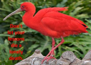 what is the theme in the scarlet ibis