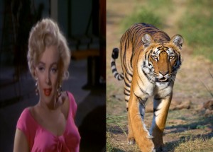 Lady or the Tiger 2