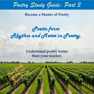  document.getElementById('ShopifyEmbedScript') || document.write(''); Buy Elements of Poetry Study Guide: Part 3