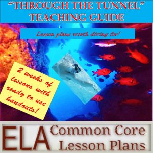 Through the tunnel essay